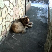 фото из отзыва ID 890936