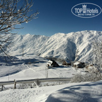 фото из отзыва ID 890936