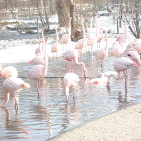 фото из отзыва ID 890506