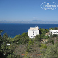 фото из отзыва ID 89070