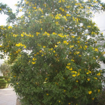 фото из отзыва ID 89103