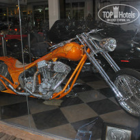 фото из отзыва ID 891059