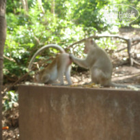 фото из отзыва ID 891277