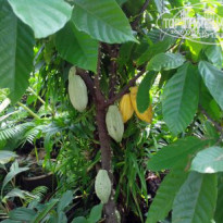 фото из отзыва ID 891277