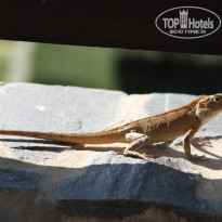 фото из отзыва ID 891301