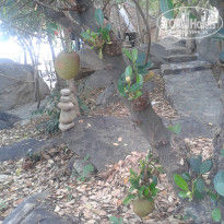 фото из отзыва ID 891374