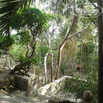 фото из отзыва ID 891374