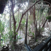 фото из отзыва ID 891374