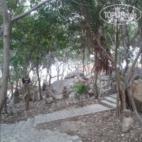 фото из отзыва ID 891374