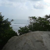 фото из отзыва ID 891374