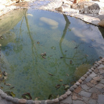 фото из отзыва ID 891374