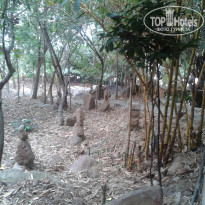 фото из отзыва ID 891374