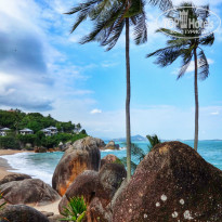 фото из отзыва ID 891376