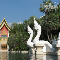 фото из отзыва ID 891403