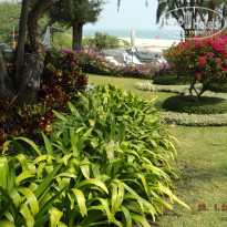 фото из отзыва ID 891425