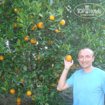 фото из отзыва ID 891618