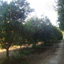 фото из отзыва ID 891618