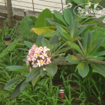 фото из отзыва ID 891627