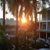 фото из отзыва ID 891662