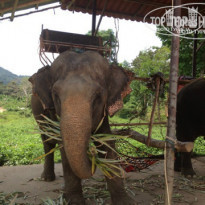 фото из отзыва ID 891662