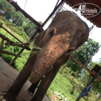 фото из отзыва ID 891662