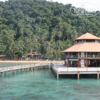 фото из отзыва ID 891662