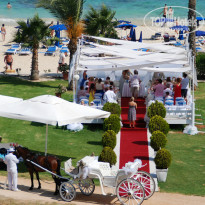 фото из отзыва ID 891718