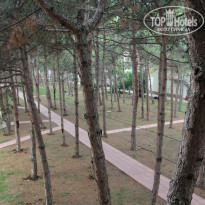 фото из отзыва ID 891762