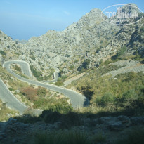 фото из отзыва ID 891764