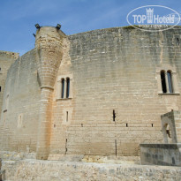 фото из отзыва ID 891764