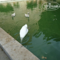 фото из отзыва ID 891764