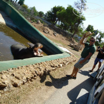 фото из отзыва ID 891764