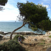 фото из отзыва ID 891764