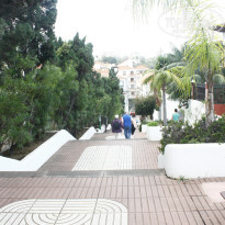 фото из отзыва ID 891821