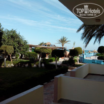 фото из отзыва ID 891855