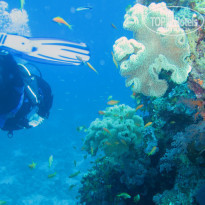 фото из отзыва ID 891855