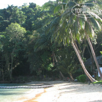 фото из отзыва ID 891876