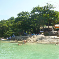 фото из отзыва ID 891442