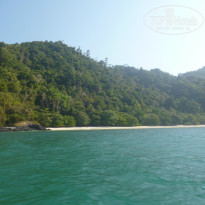 фото из отзыва ID 891442