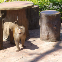 фото из отзыва ID 891442