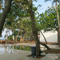 фото из отзыва ID 891980