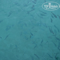 фото из отзыва ID 891333