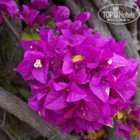 фото из отзыва ID 892038