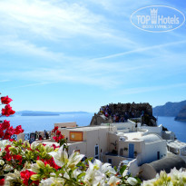 фото из отзыва ID 892099