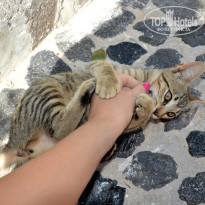 фото из отзыва ID 892099