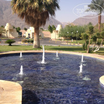 фото из отзыва ID 892116