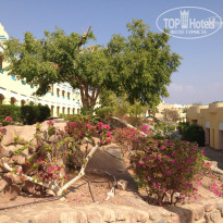 фото из отзыва ID 892116