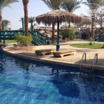 фото из отзыва ID 892116