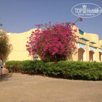 фото из отзыва ID 892116