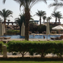 фото из отзыва ID 892116